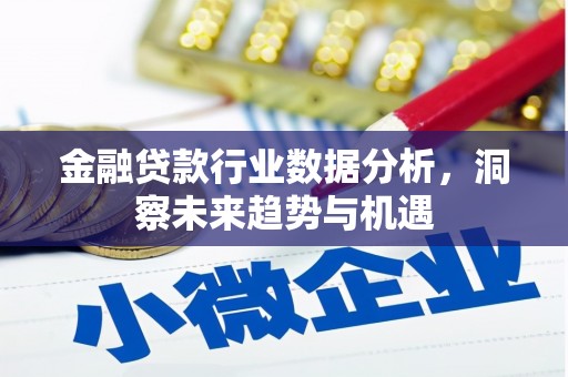 万华金融贷款行业数据分析，洞察未来趋势与机遇