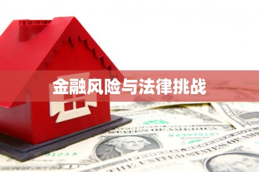大庆金融风险与法律挑战